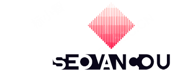 seovancouverpros.com